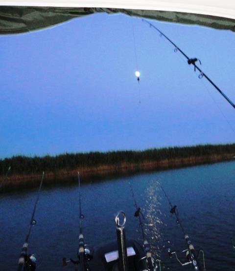 Doar ... NATURA - 3 - dsc09902.JPG